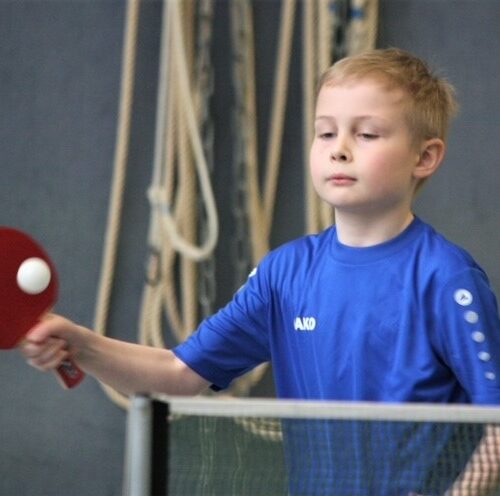 Bezirksentscheid Mini-Meisterschaften – Iwan Bichert für Hessenentscheid qualifiziert